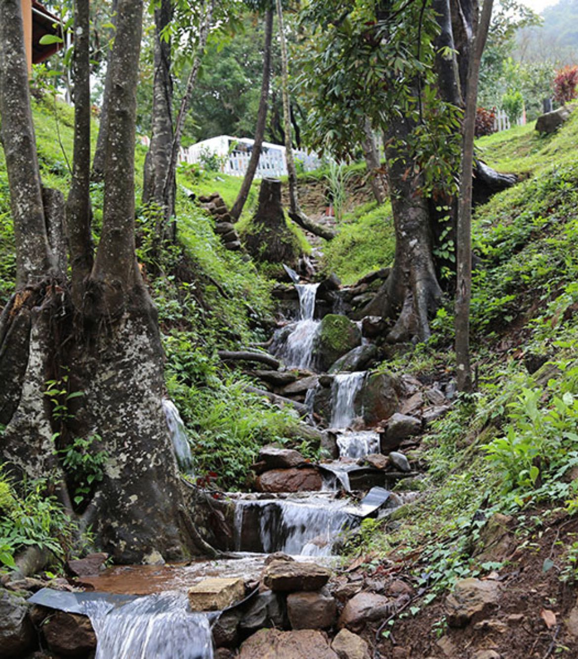 Day Outing at Saalugudda Resort Sakleshpur