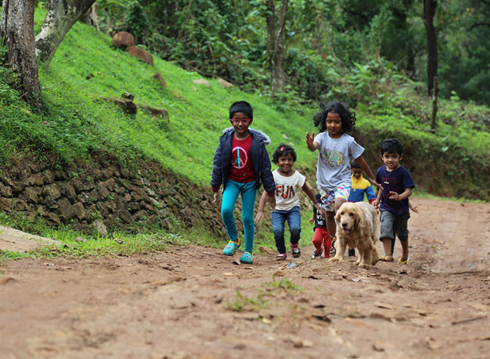 Day Outing at Saalugudda Resort Sakleshpur