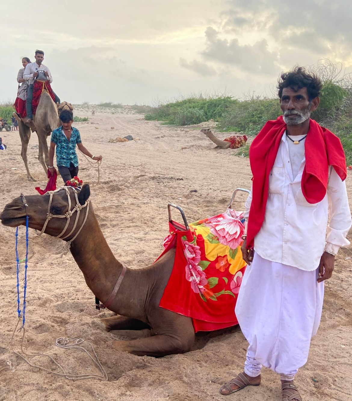 Camel Ride in Jodhpur