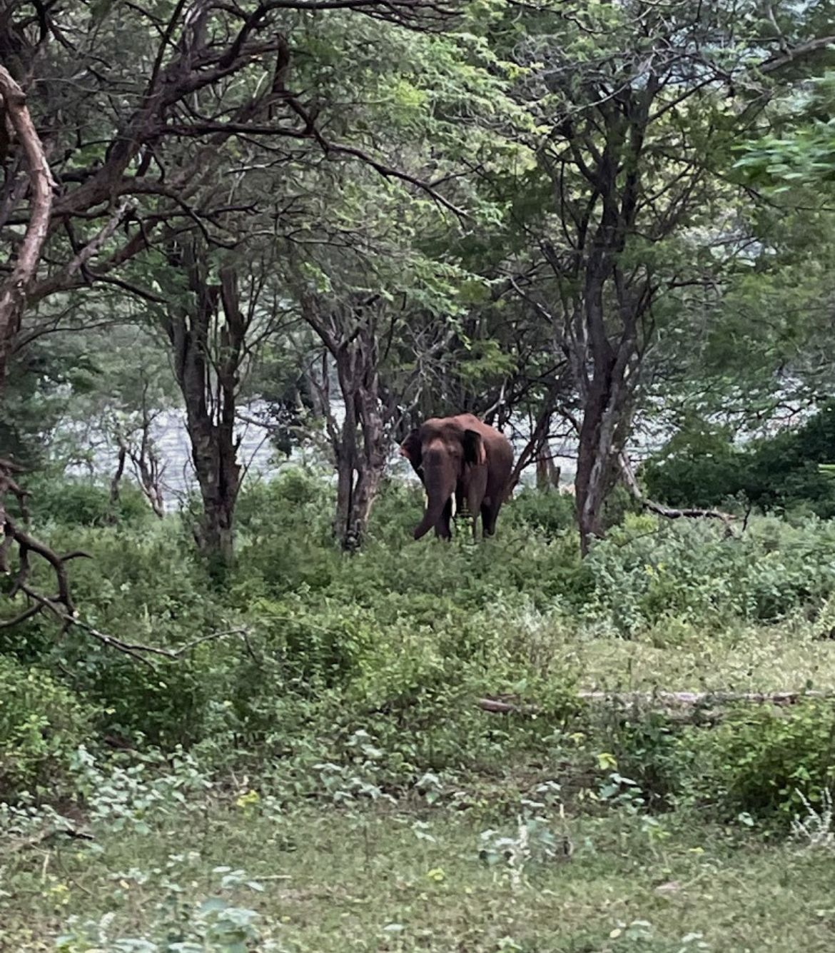 Galibore Nature Camp