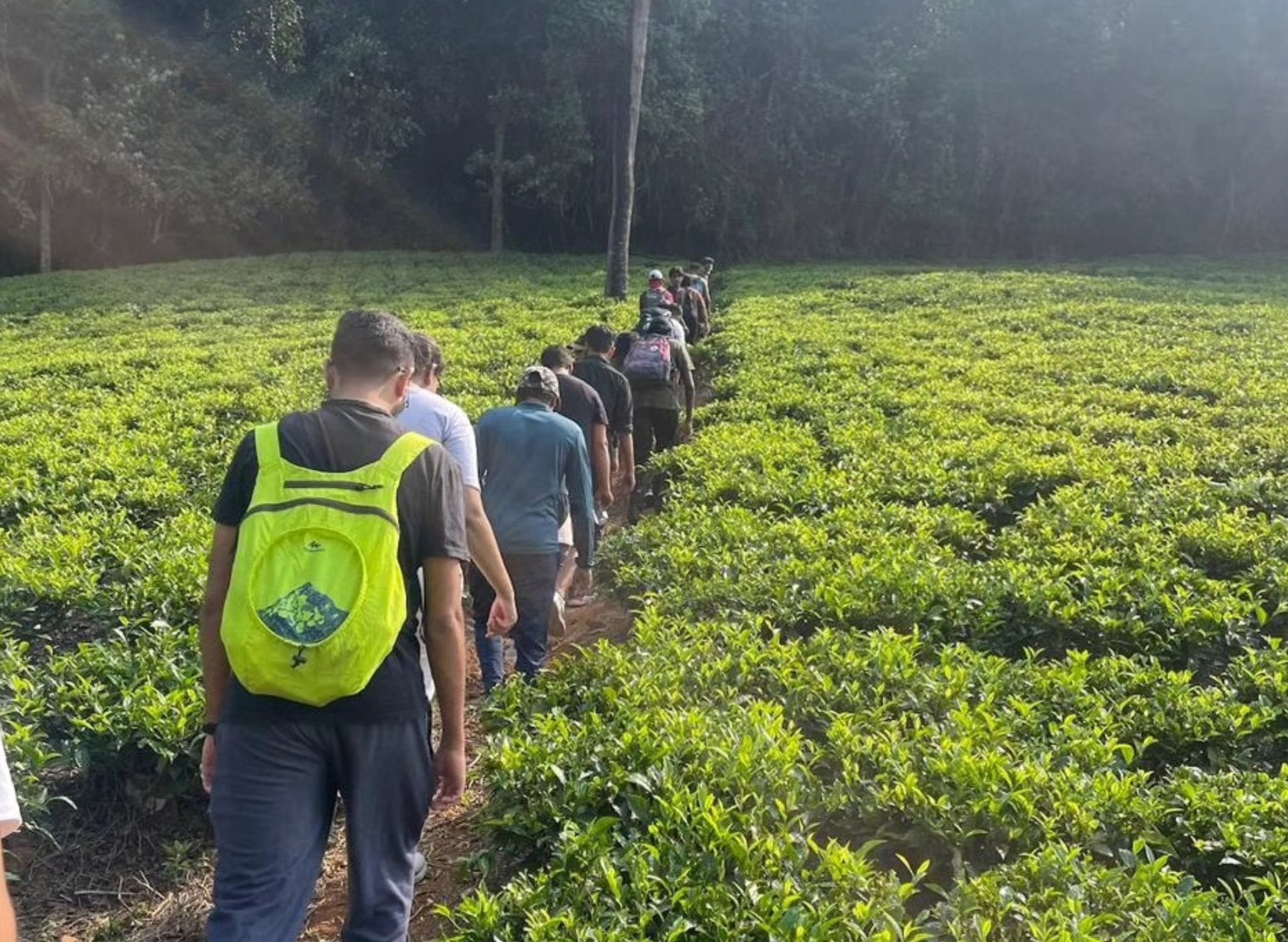 Narasimha Parvatha Trek from Bangalore