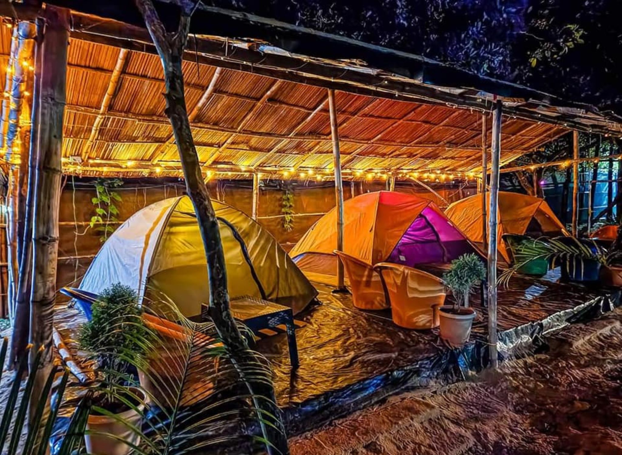 Camping in Galaxy Nature Camp