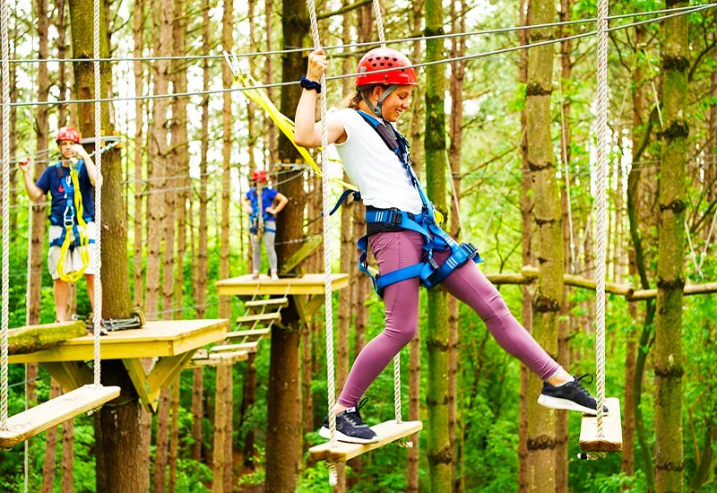 Experiential High Rope Course In Yelagiri