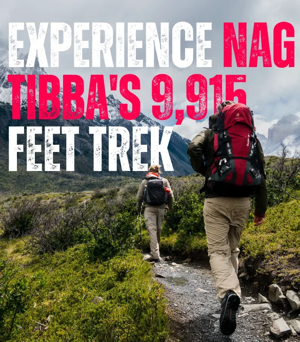 Nag Tibba Trek