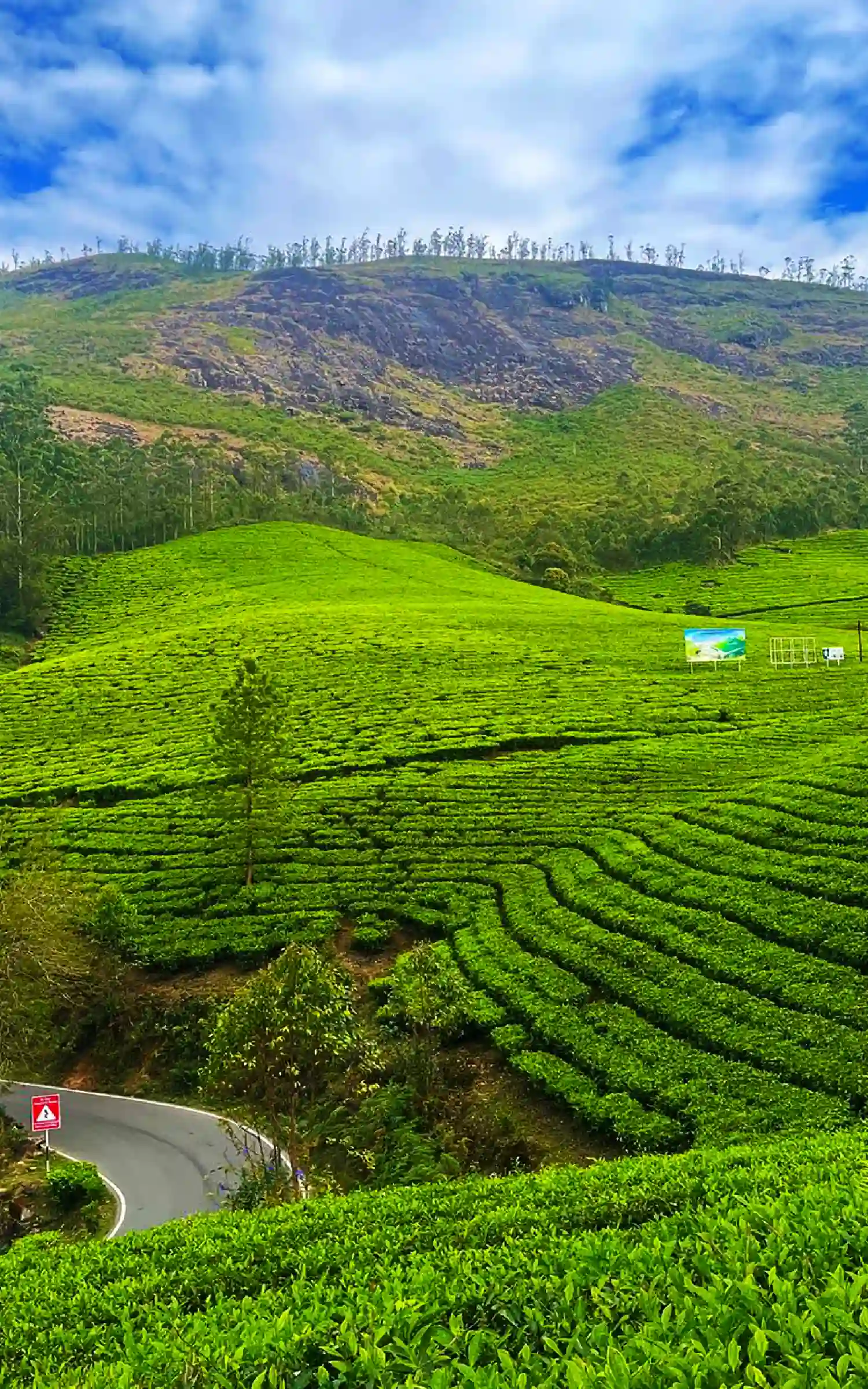 4 Days Kerala Tour Package with Munnar and Thekkady