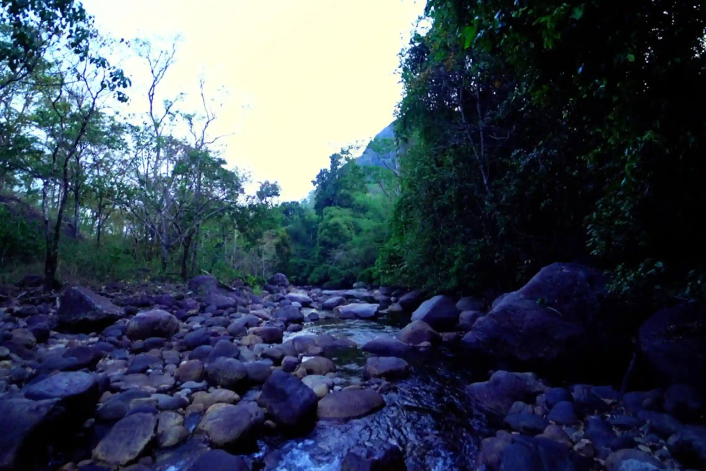 Kalikesam Balamore Trek