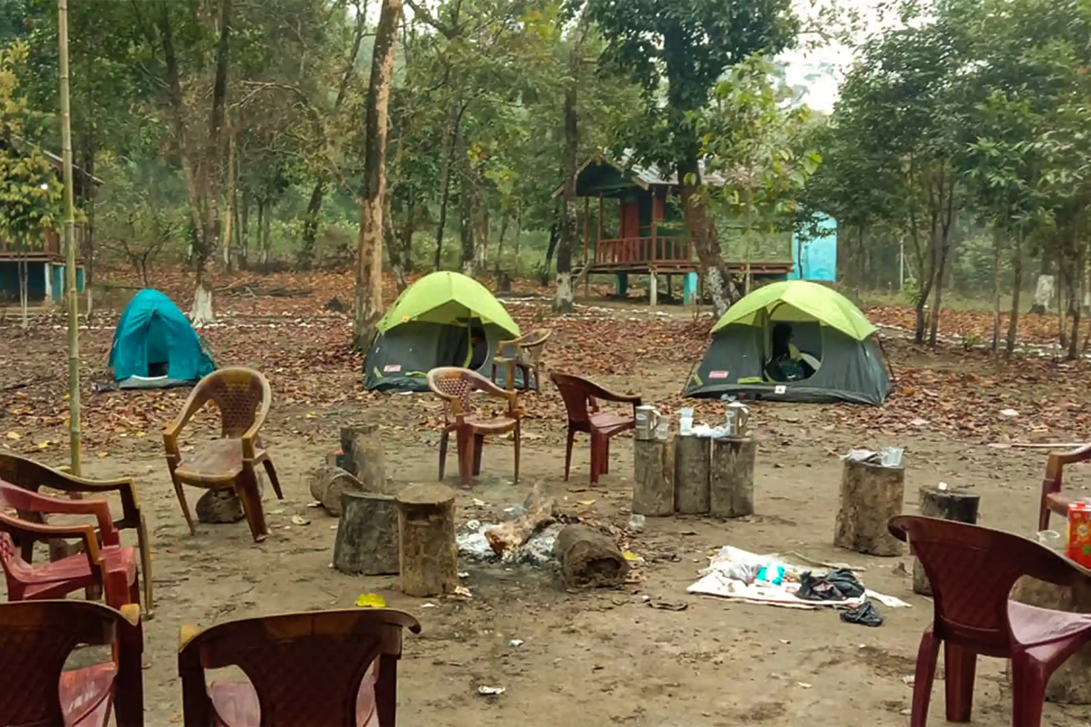 Pakke Jungle Camp Seijosa