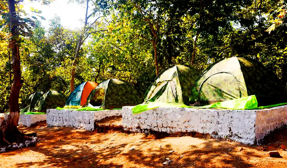Jungle Camping At Salkanpur, Bhopal