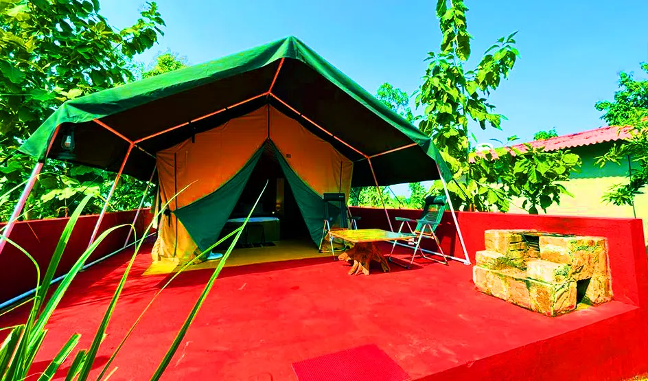 Dehlia Eco Jungle Camp, Hoshangabad