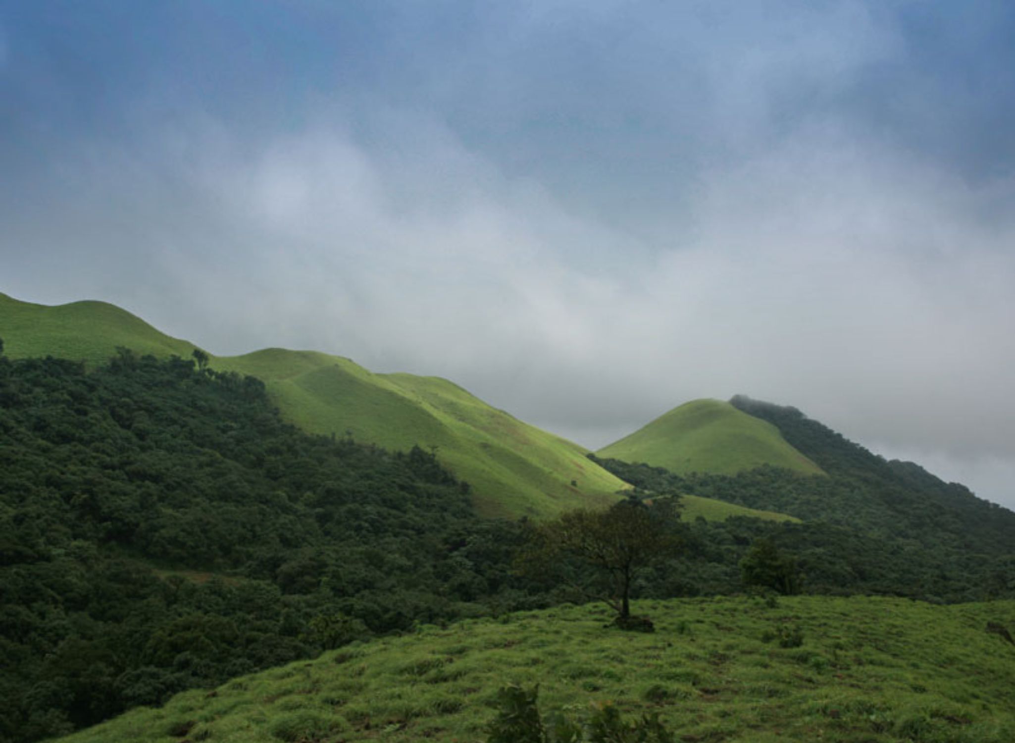 Day Outing at Saalugudda Resort Sakleshpur