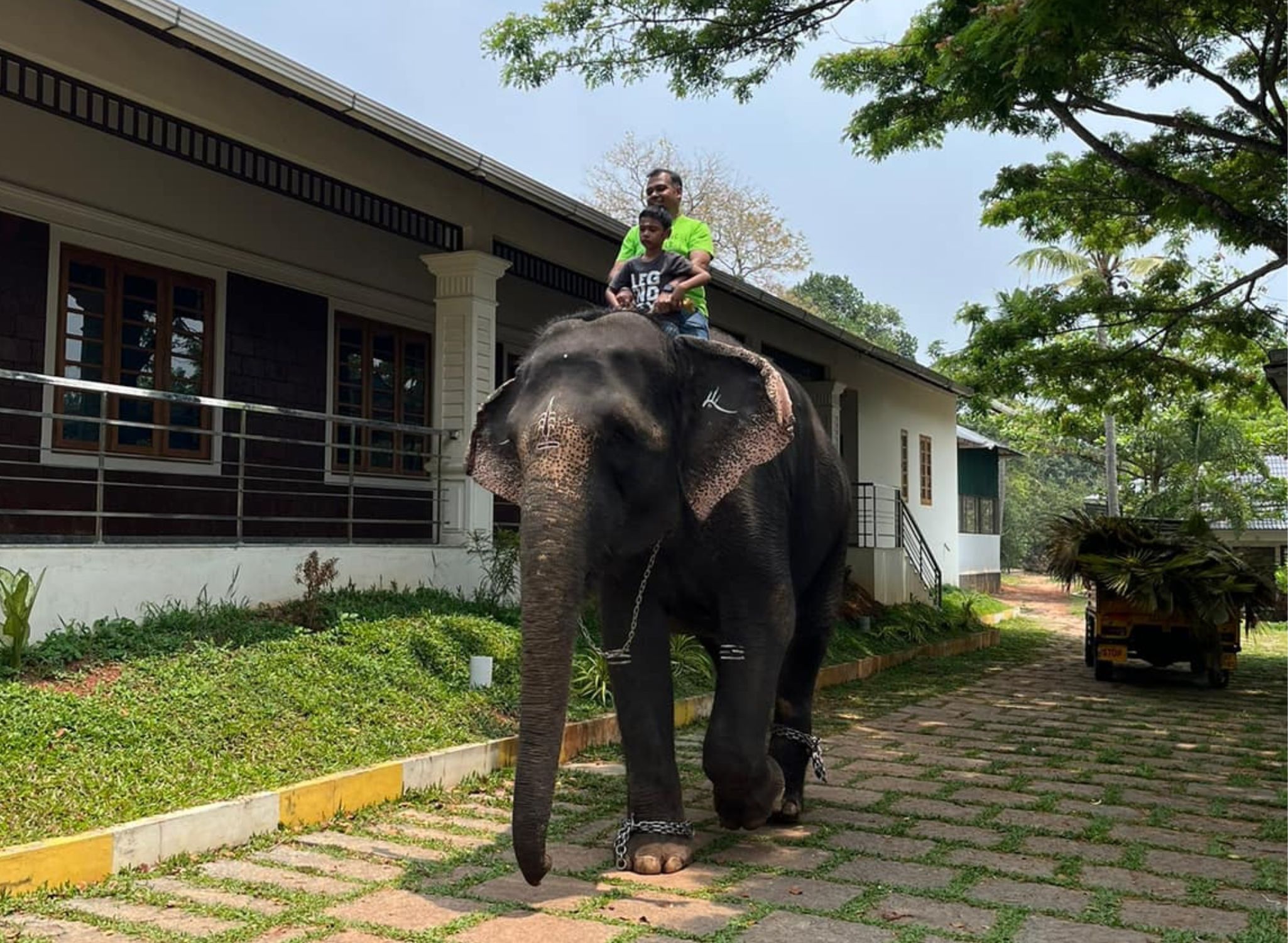 Elephant Safari in Kerala