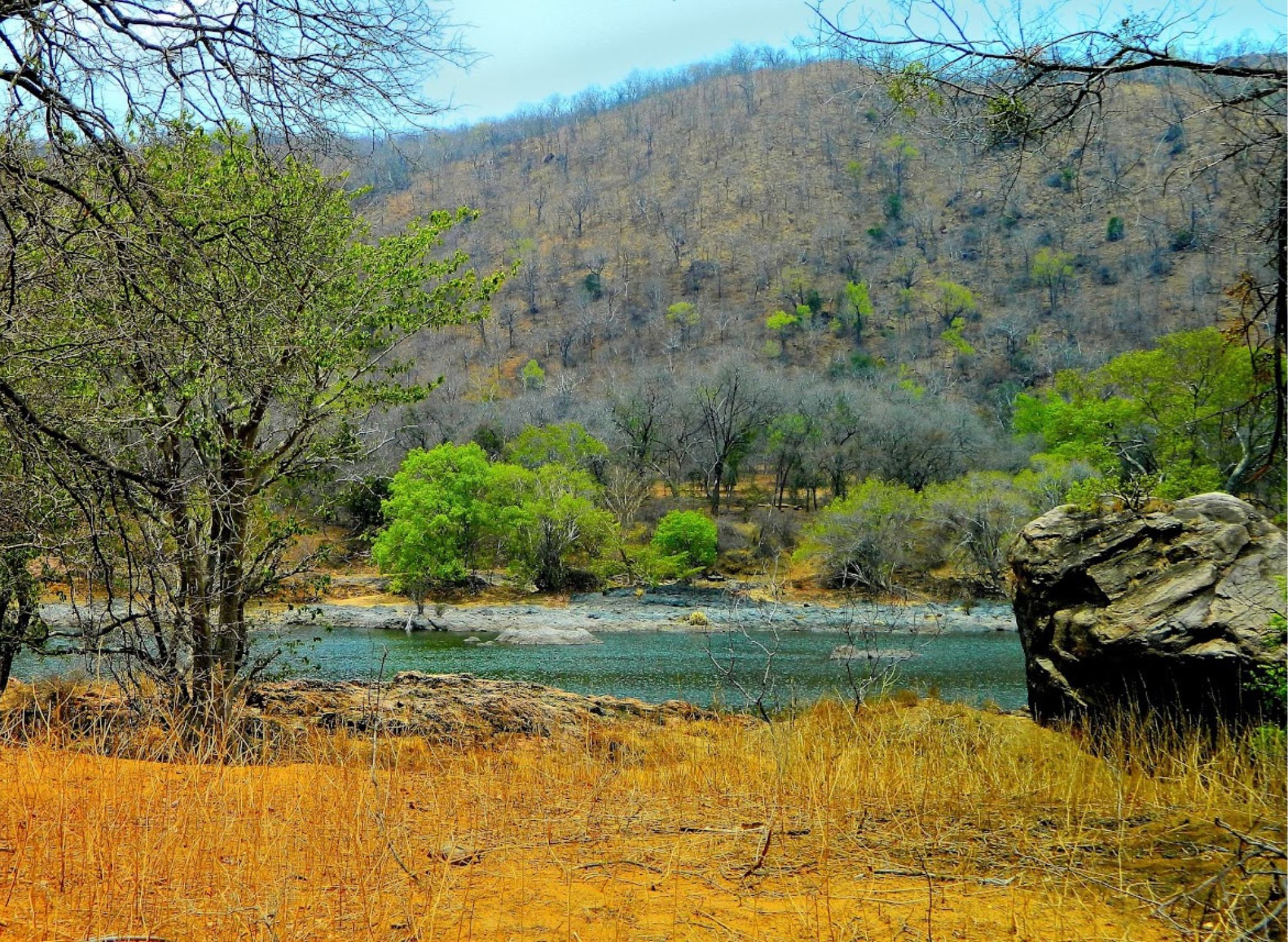 Galibore Nature Camp