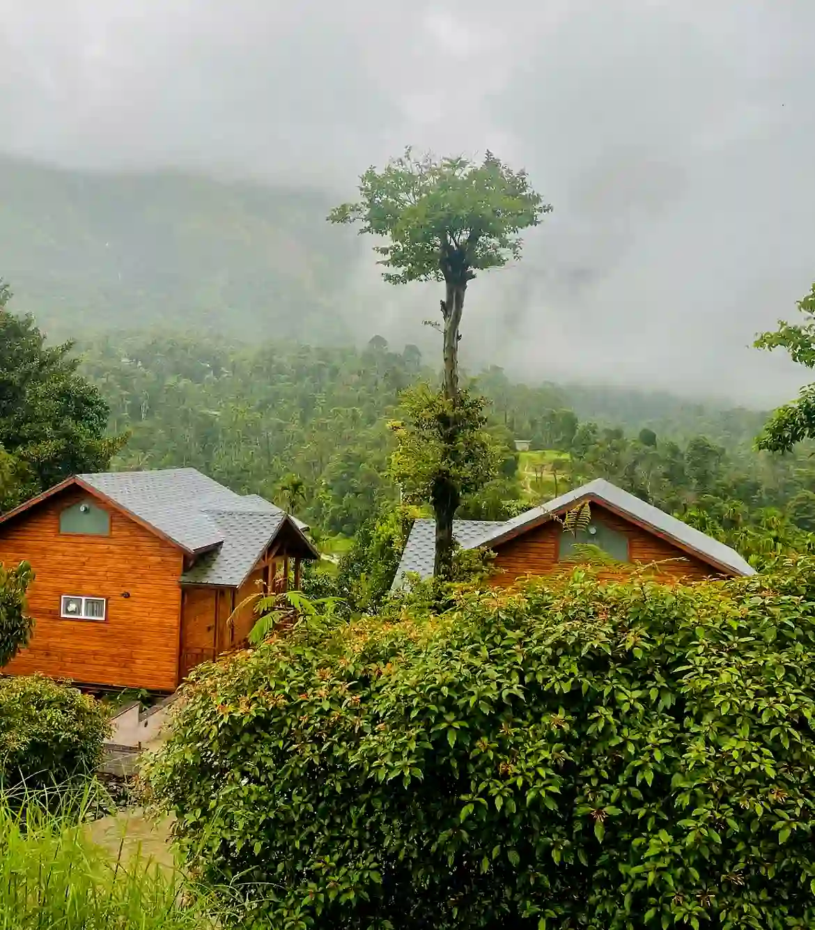 4 Days Package Tours from Bangalore