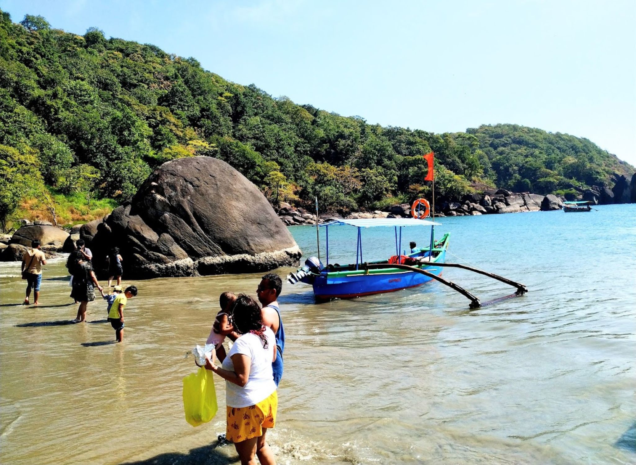 Dolphin Sightseeing Trip in Agonda Beach