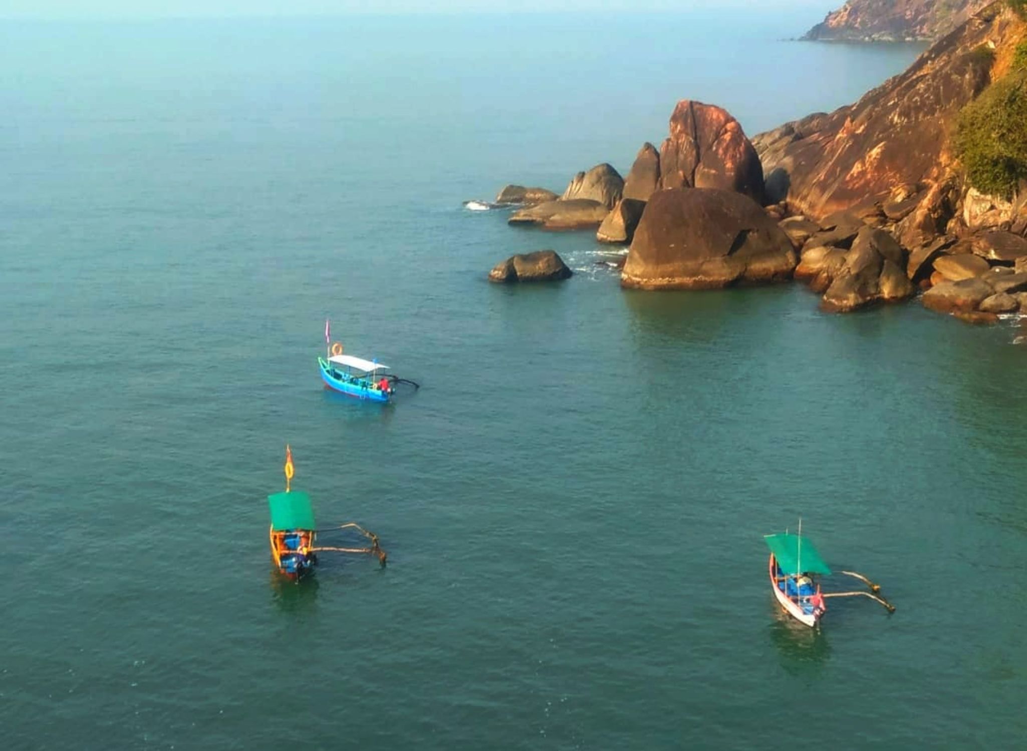 Dolphin Sightseeing Trip in Agonda Beach