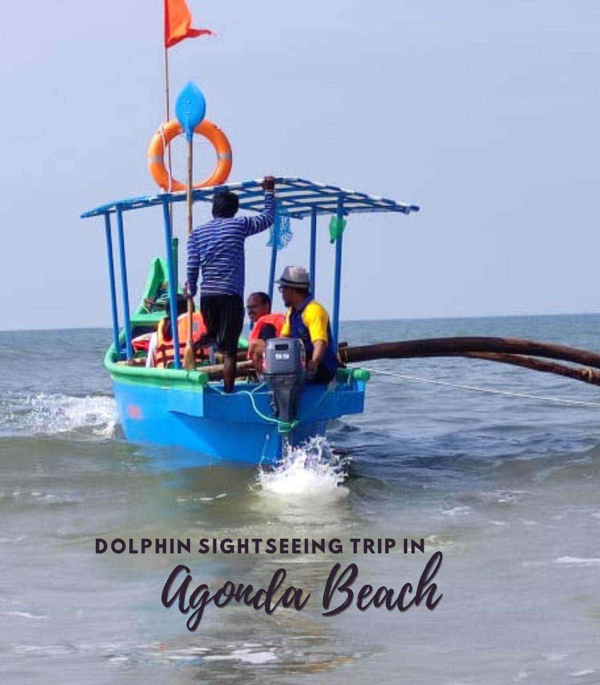 Dolphin Sightseeing Trip in Agonda Beach