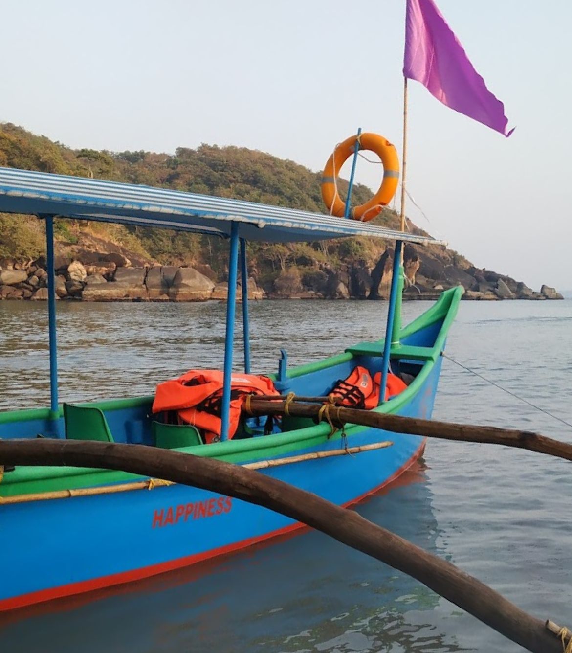 Dolphin Sightseeing Trip in Agonda Beach