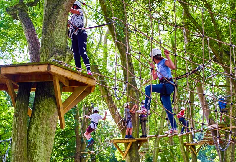 Rope Course in Pallakad