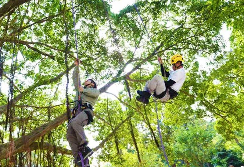 Tree Climbing in Pondicherry