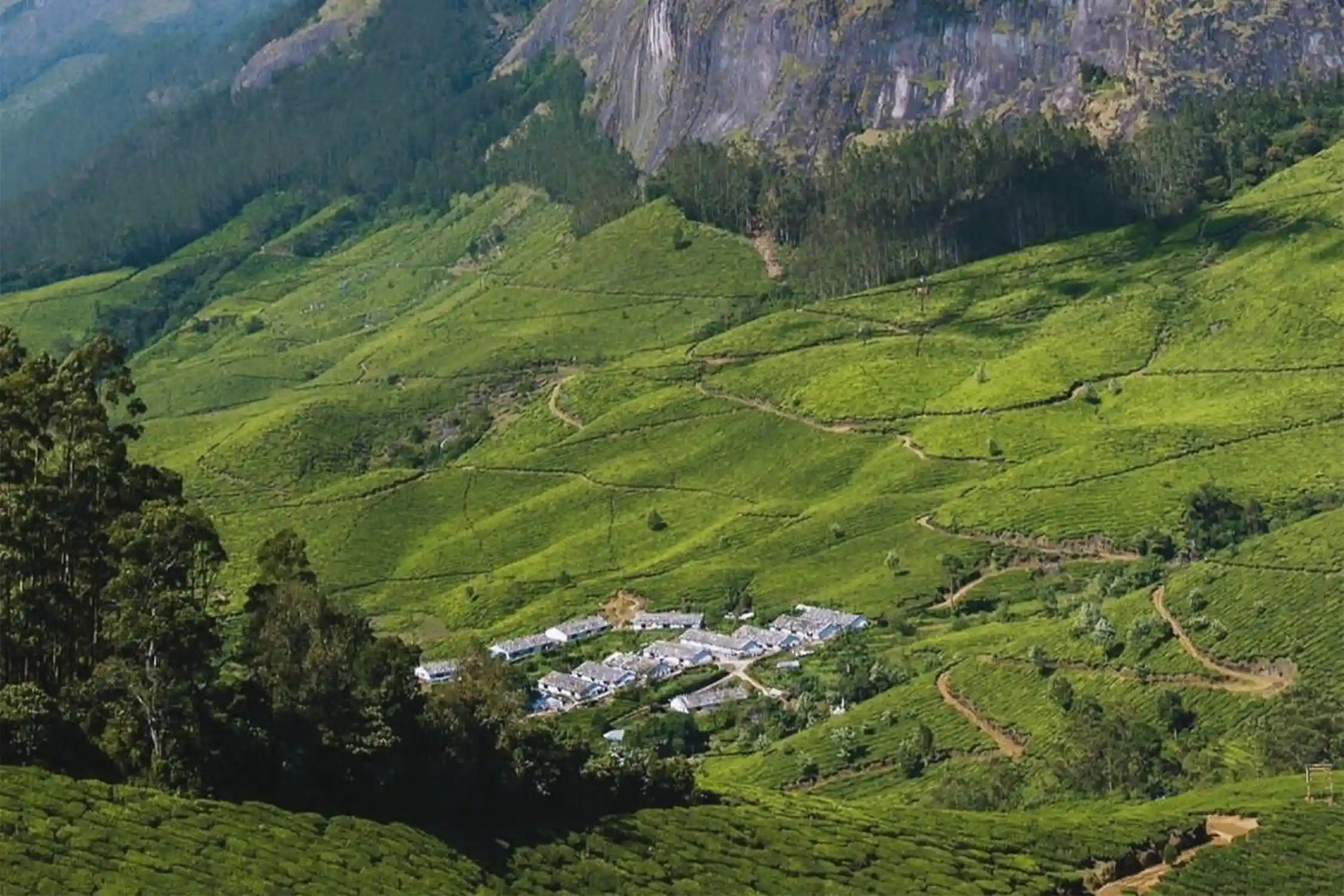 Glamping in Munnar