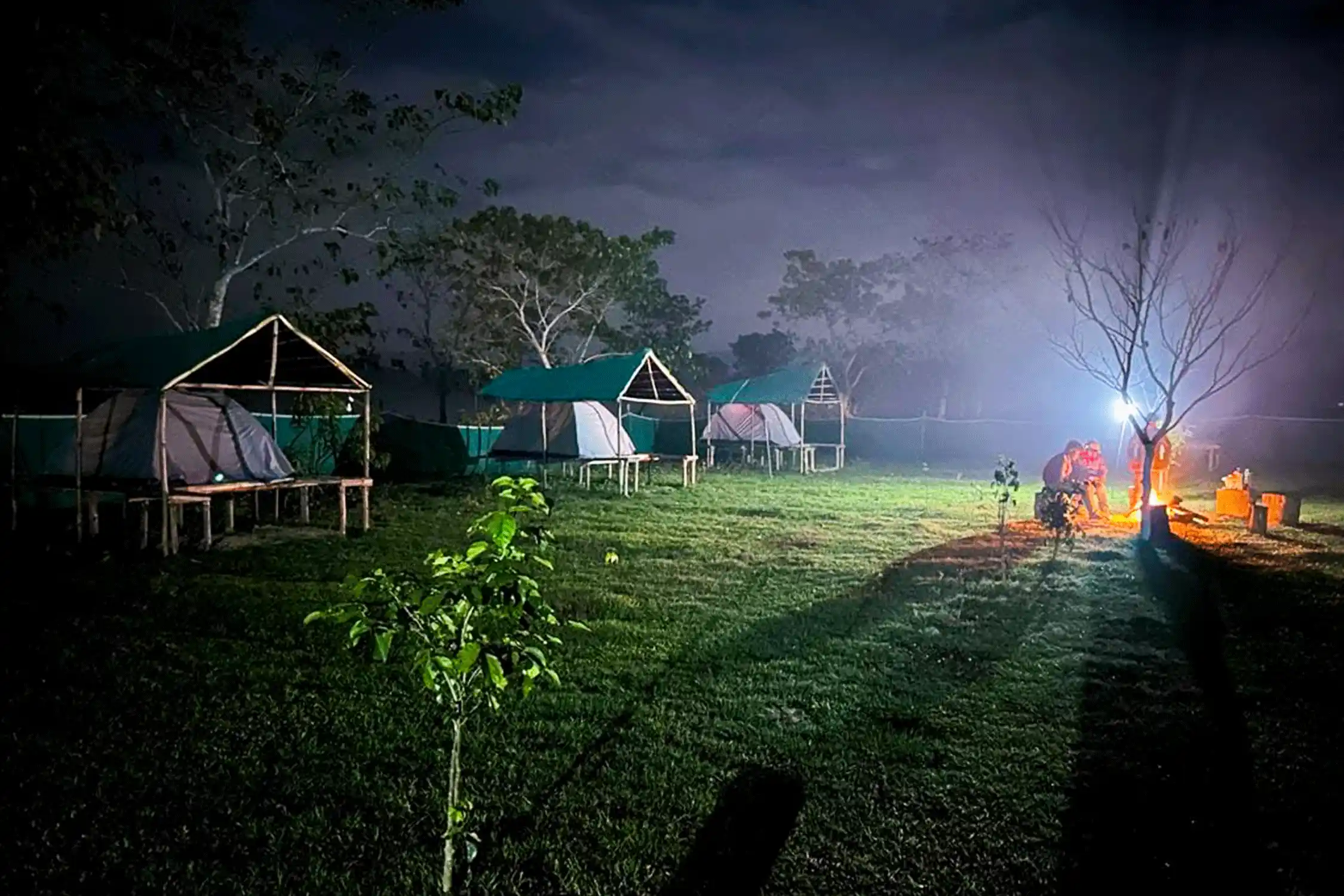 Fesengbor Kaziranga Eco Camp
