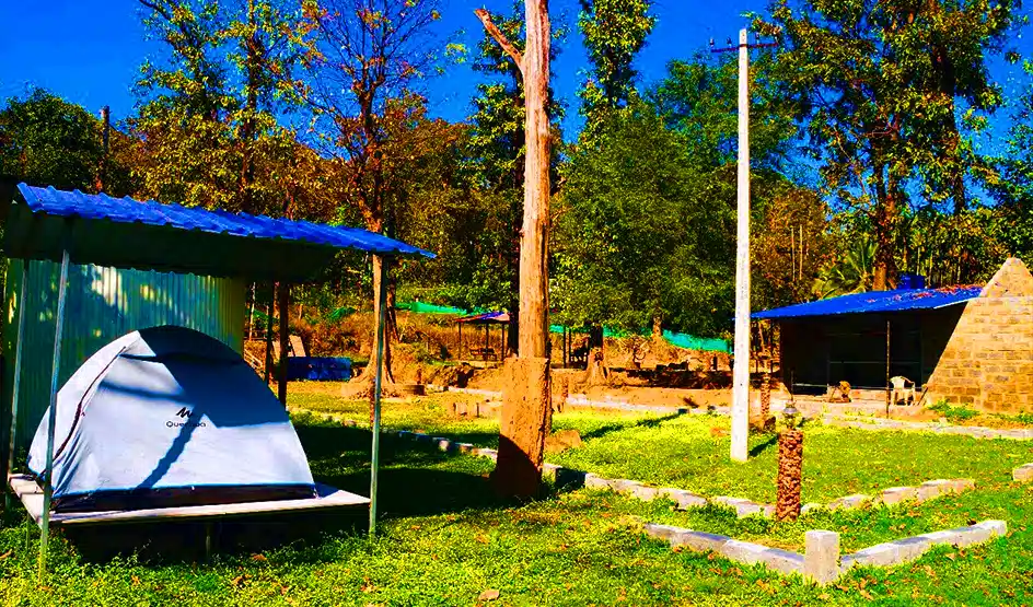 Forest Side Camping In Goa