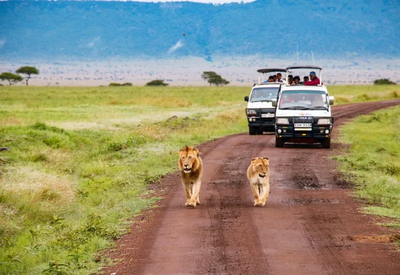 Lion Safari Silvassa