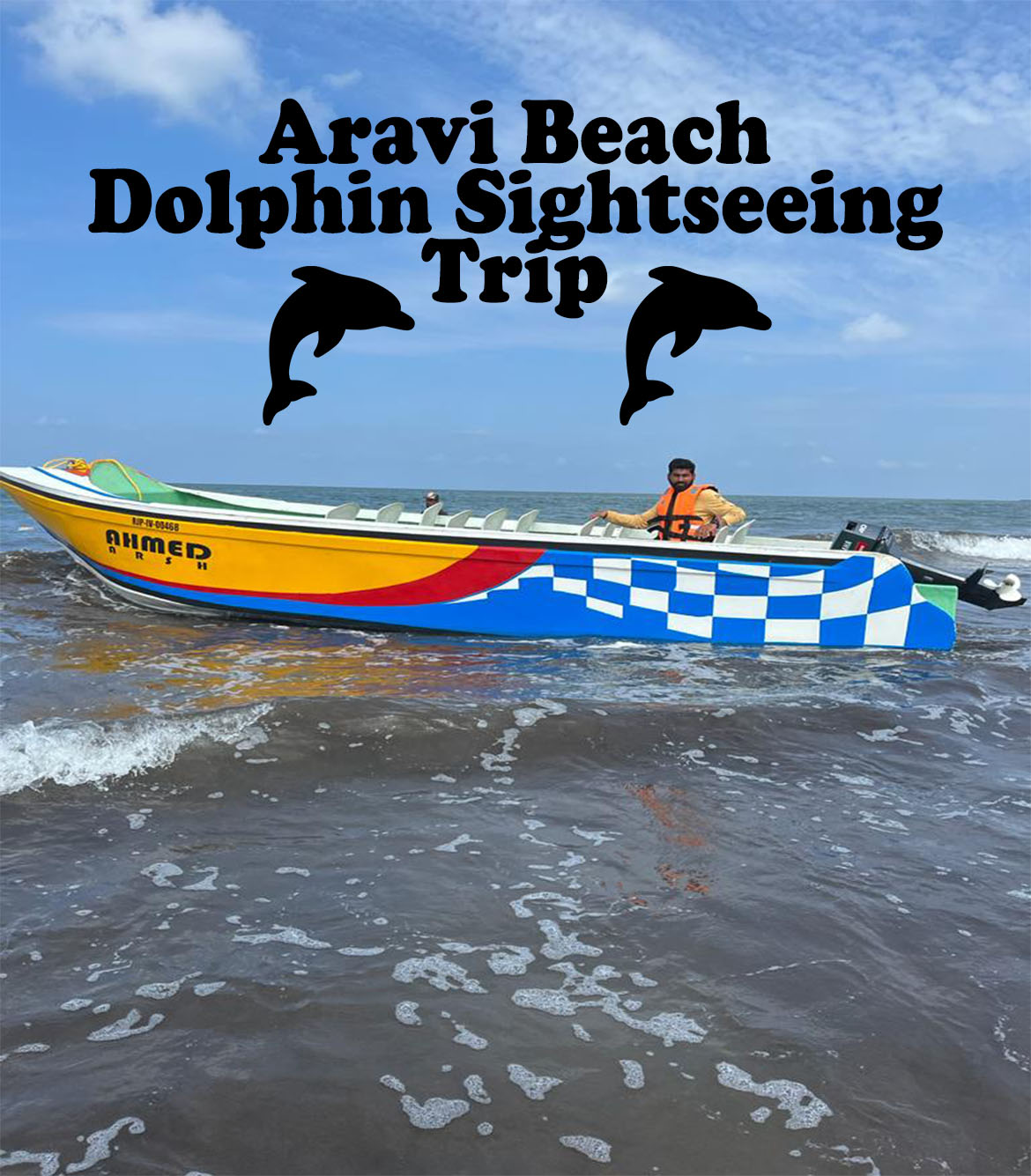 Aravi Beach Dolphin Sightseeing Trip