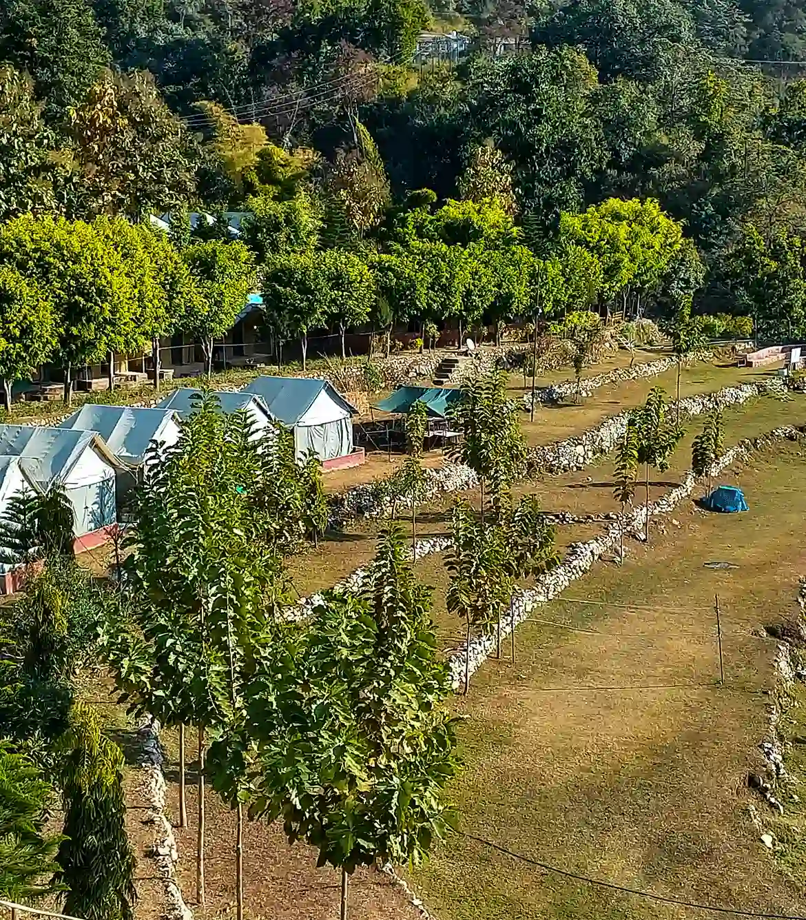 Jungle Camping at Vatika Camp Rishikesh