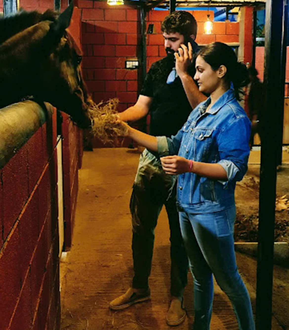 Horse Riding in Bangalore