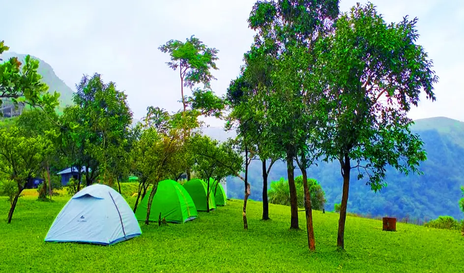 Hilltop Camping In Vagamon, Kerala