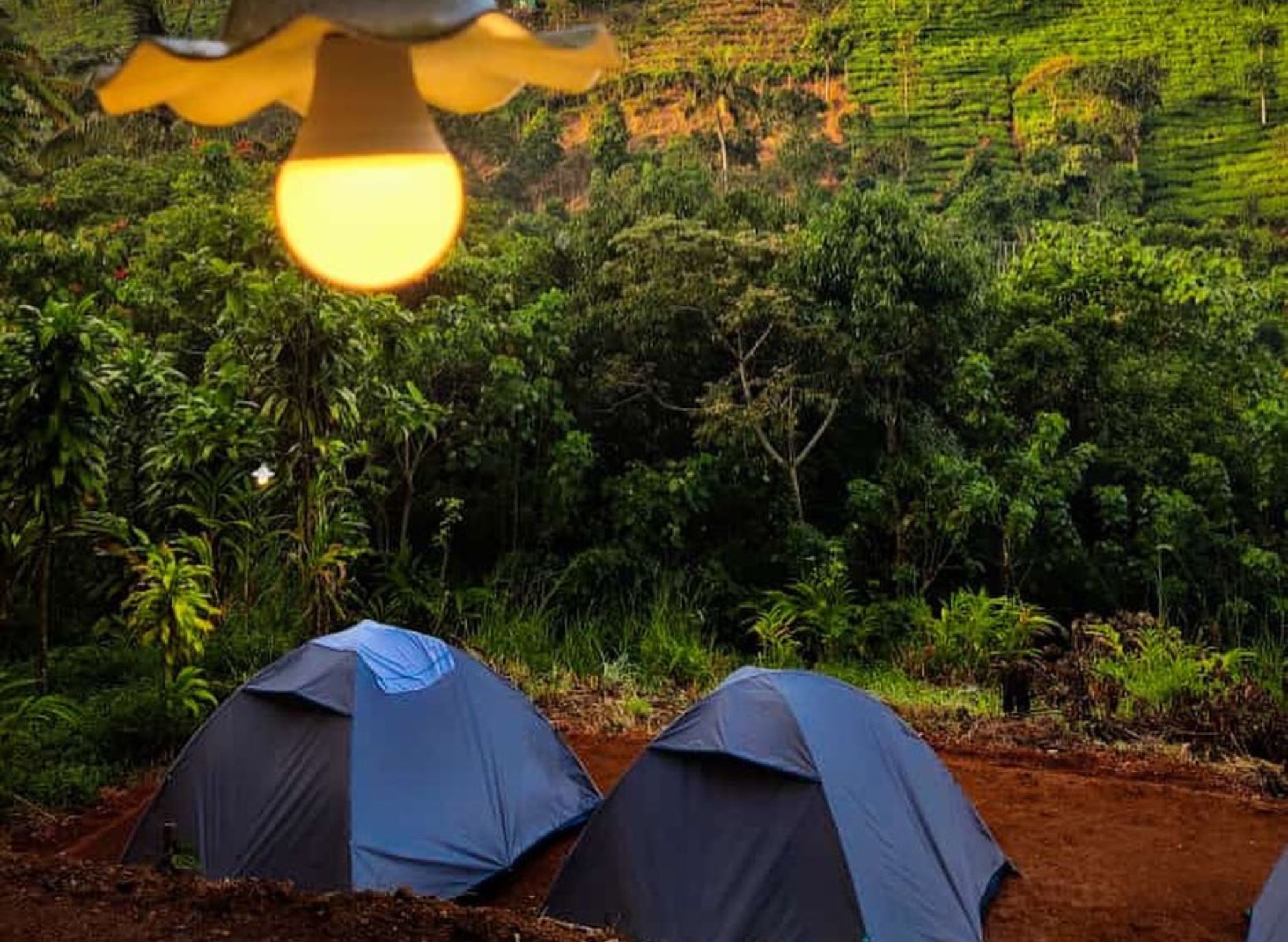 Camping at Tent Life Vagamon | Bali Swing