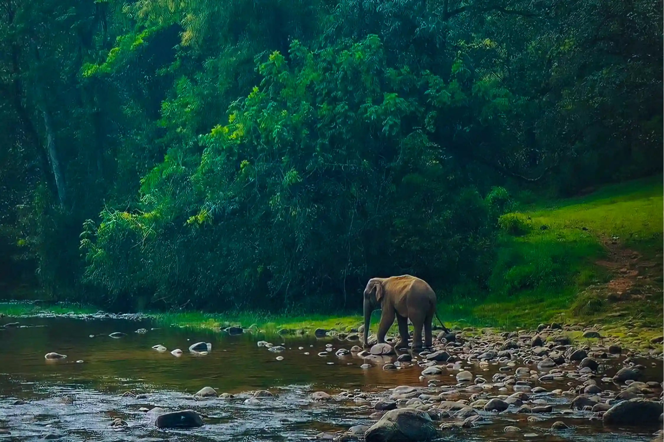 Manakulam Camping