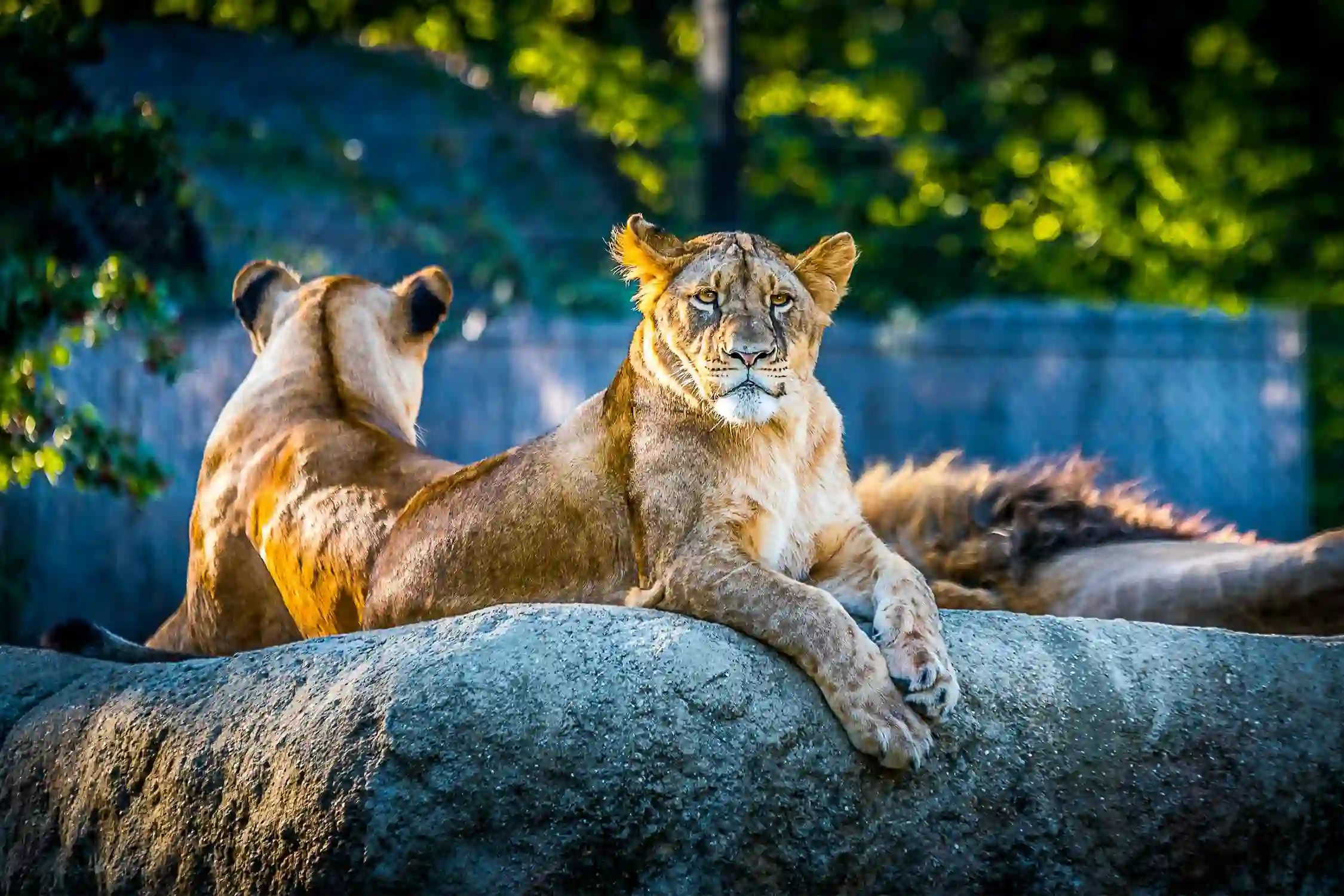 One Day Madikeri to Brahmagiri Wildlife Sanctuary Sightseeing Trip