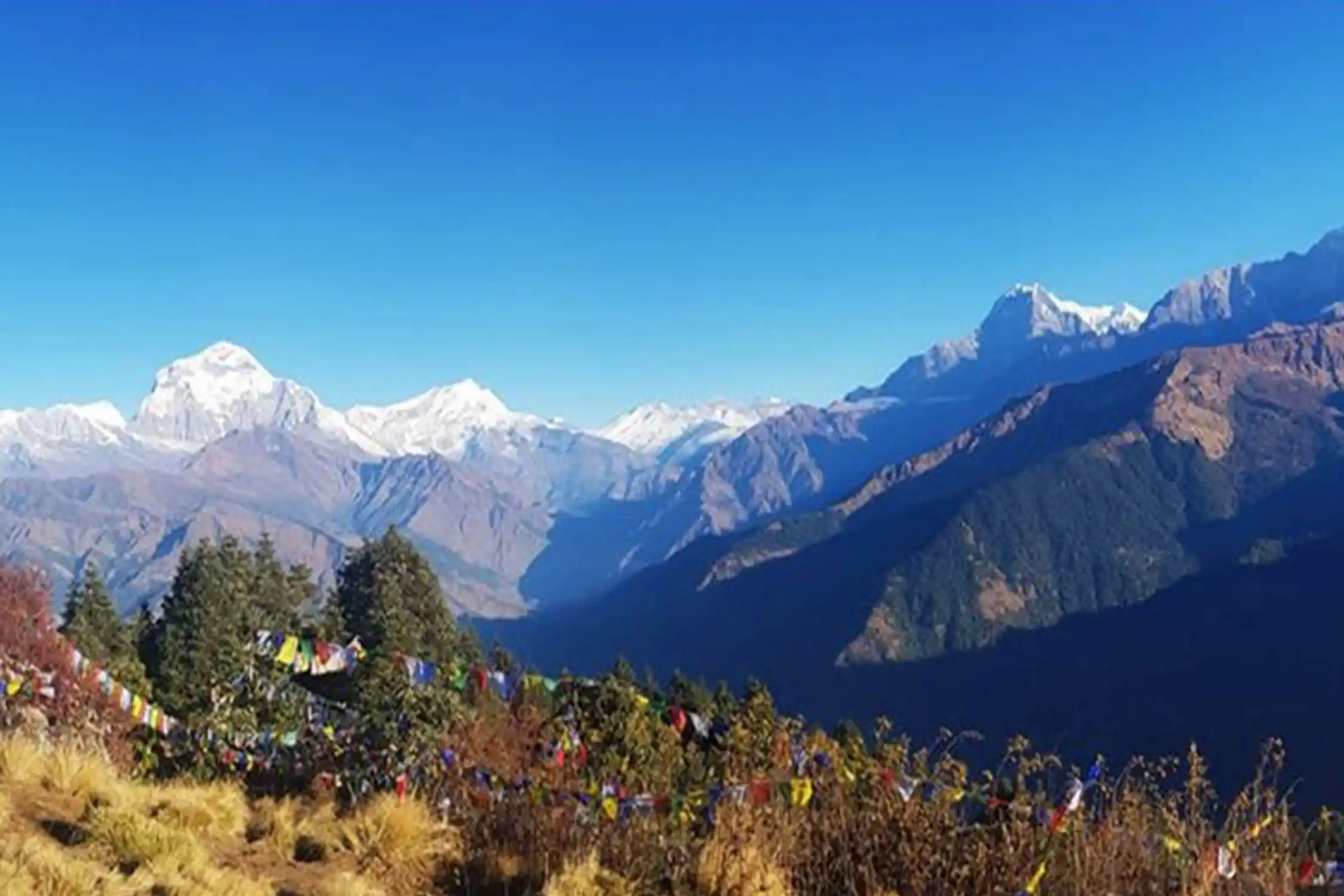 ABC with Poonhill Trek Nepal