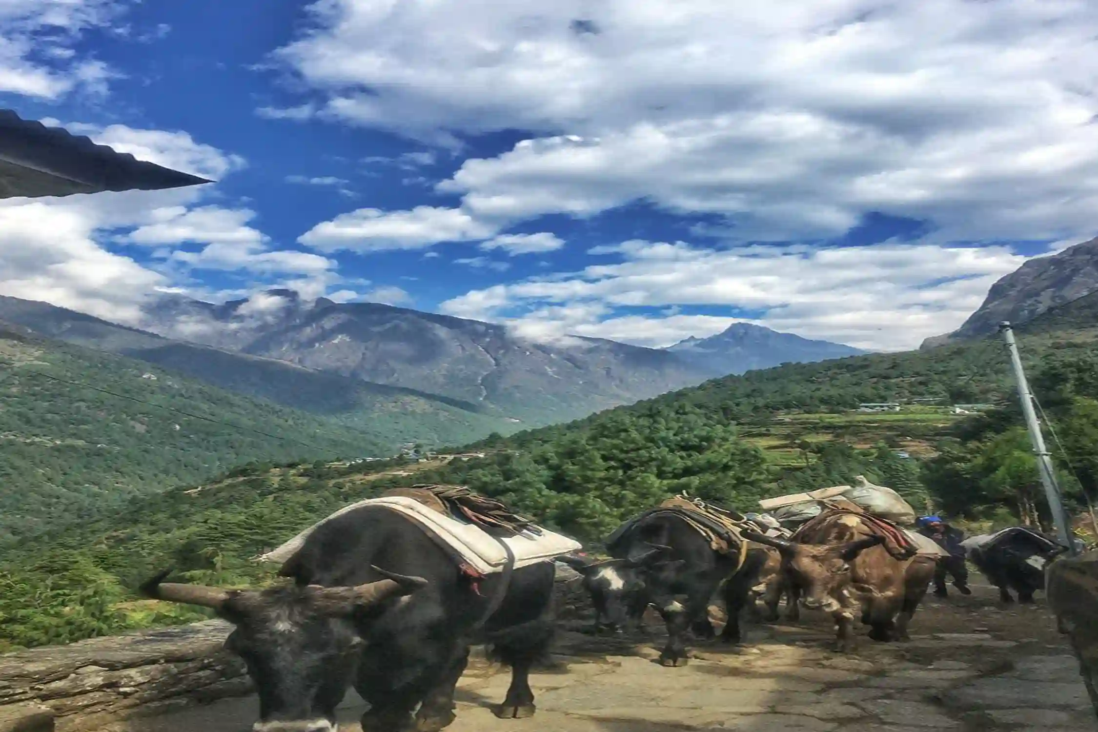 API Himal Base Camp Trek