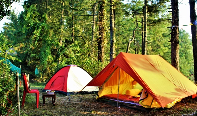 Adventure Camping in Shimla