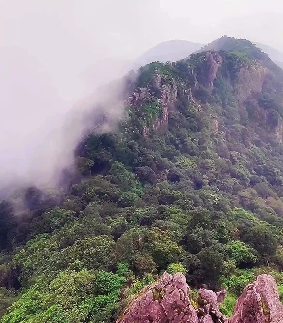 One Day Hyderabad to Anantagiri Hills Trip