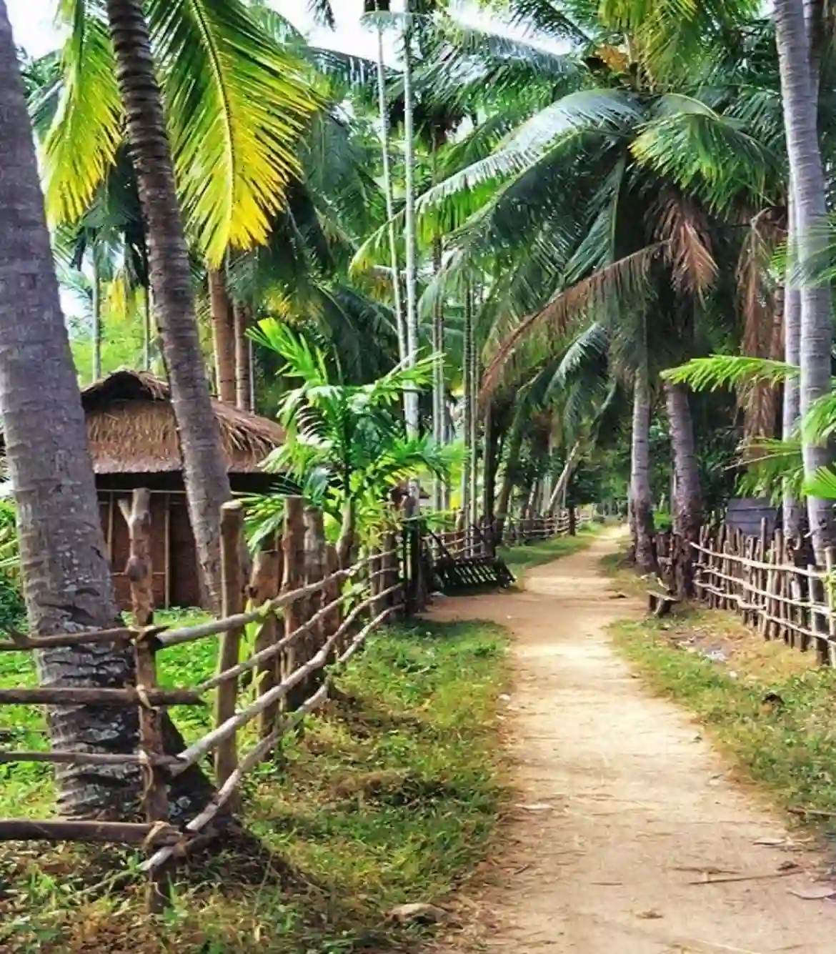 Arunachal Tribal Villages Tour