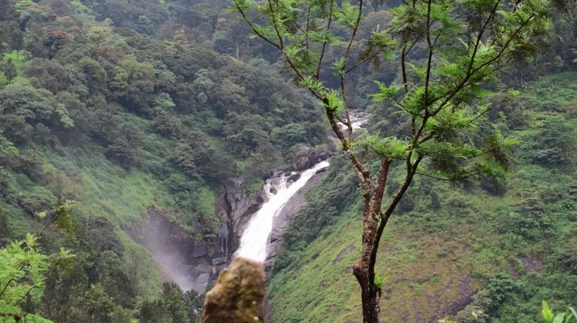 Day Excursion of Munnar Local with Attukad waterfalls by Cab