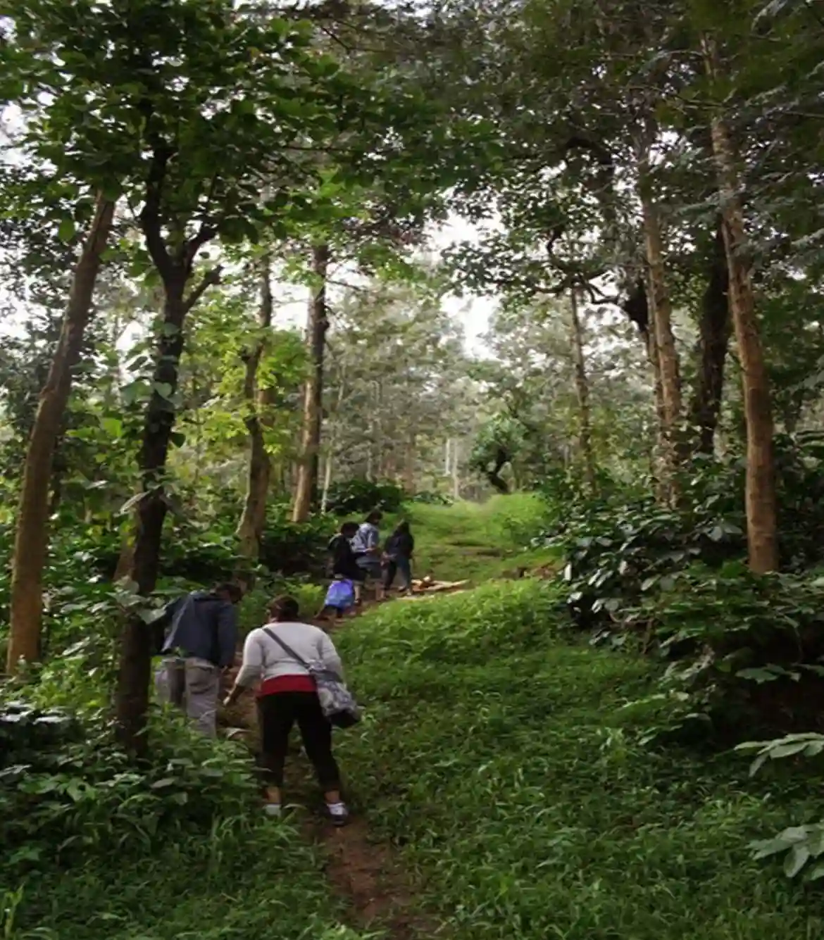 Avalanche Kolaribetta Trek