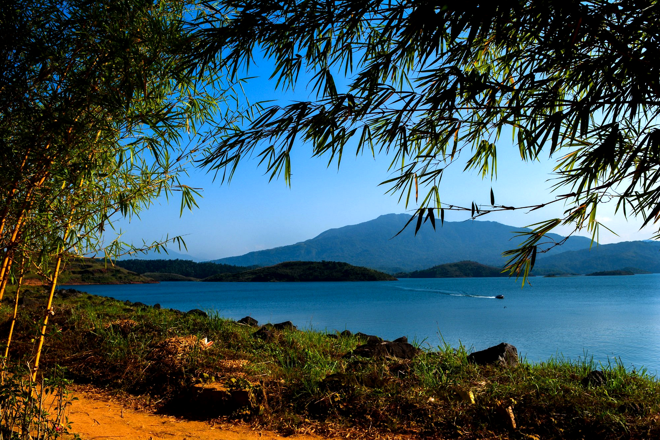 Banasura Hills Camping Wayanad