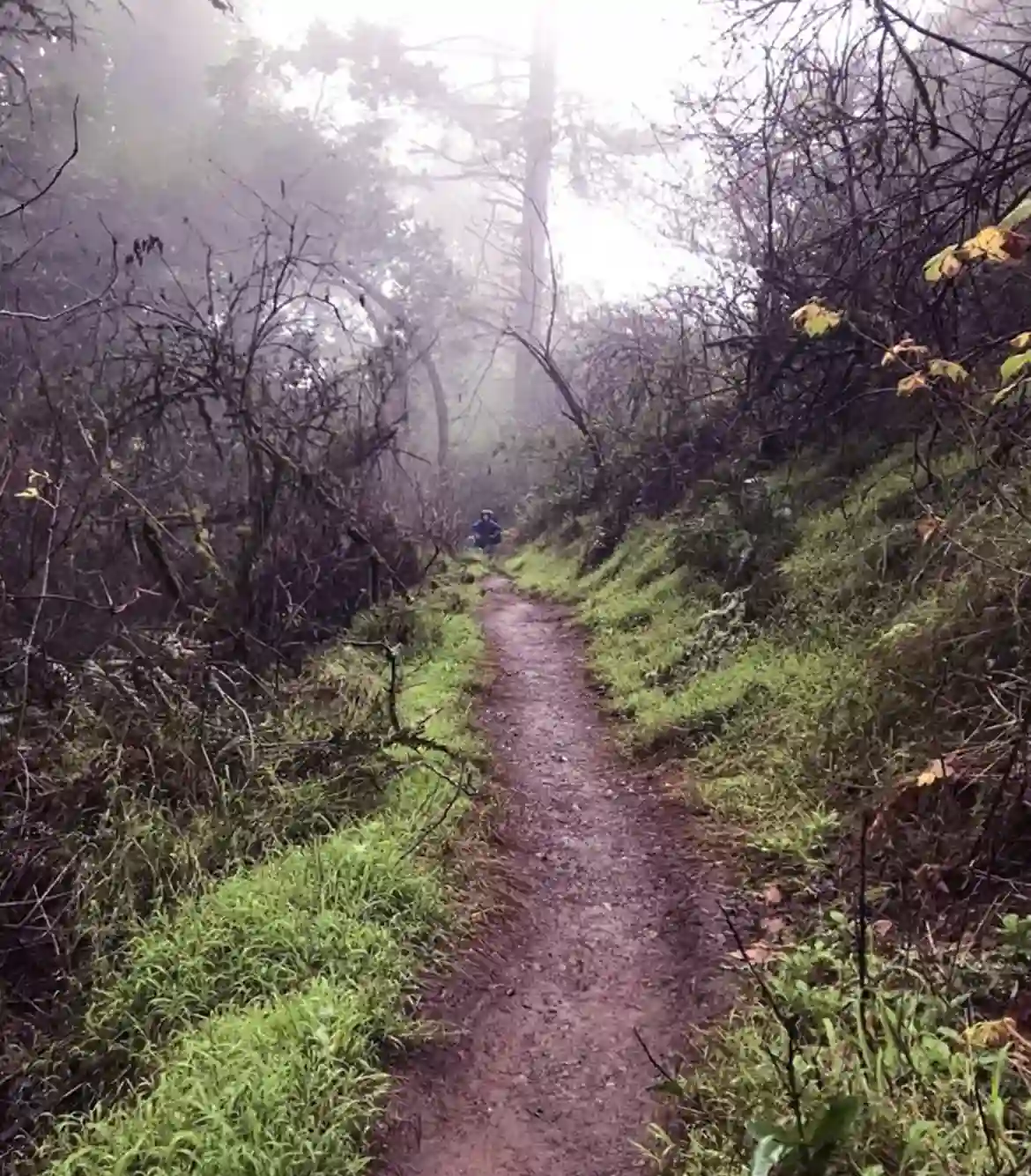Baraliyar Trek