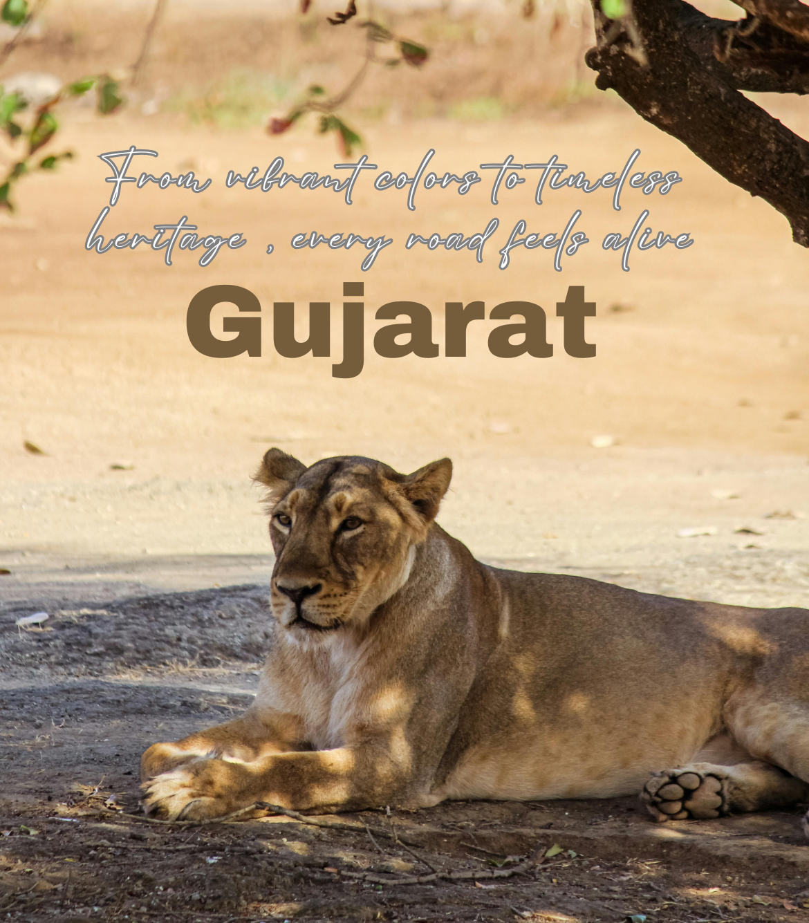 Best of Gujarat Tour Package