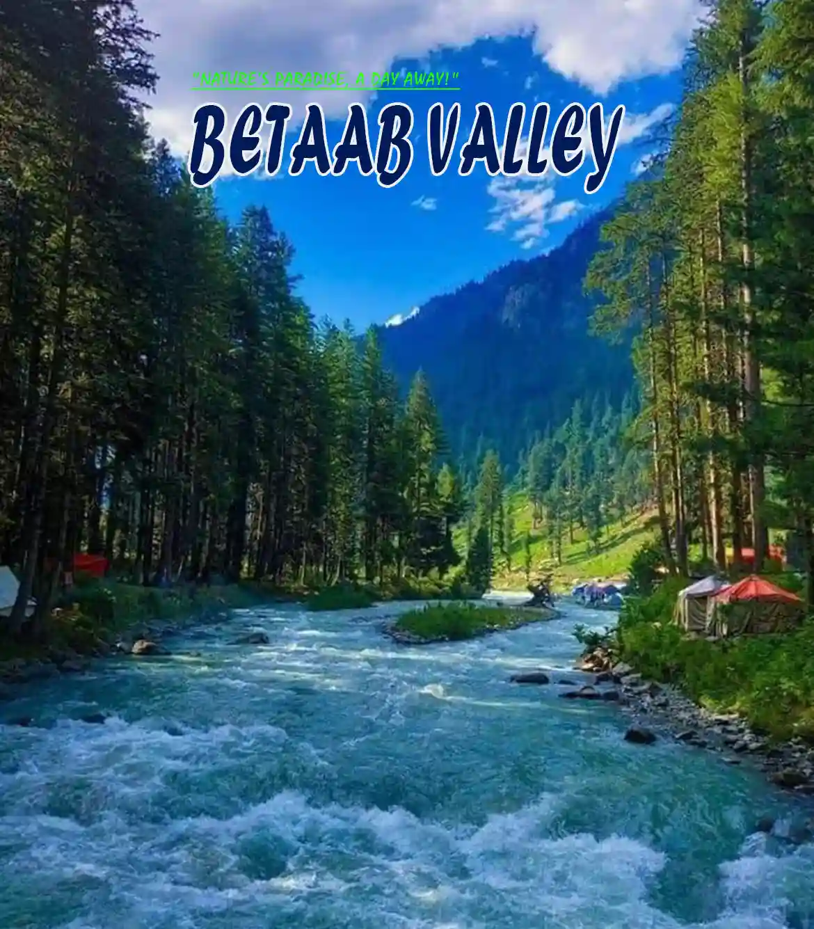 One Day Srinagar to Betaab Valley Sightseeing Trip