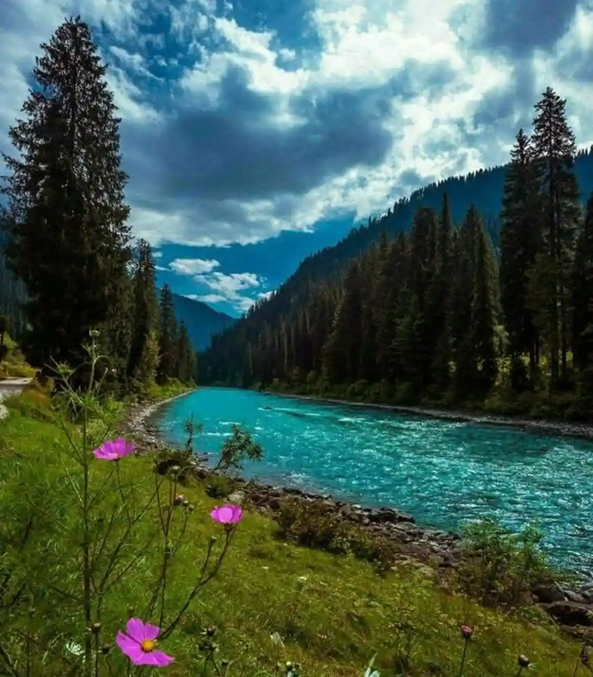 One Day Srinagar to Betaab Valley Sightseeing Trip