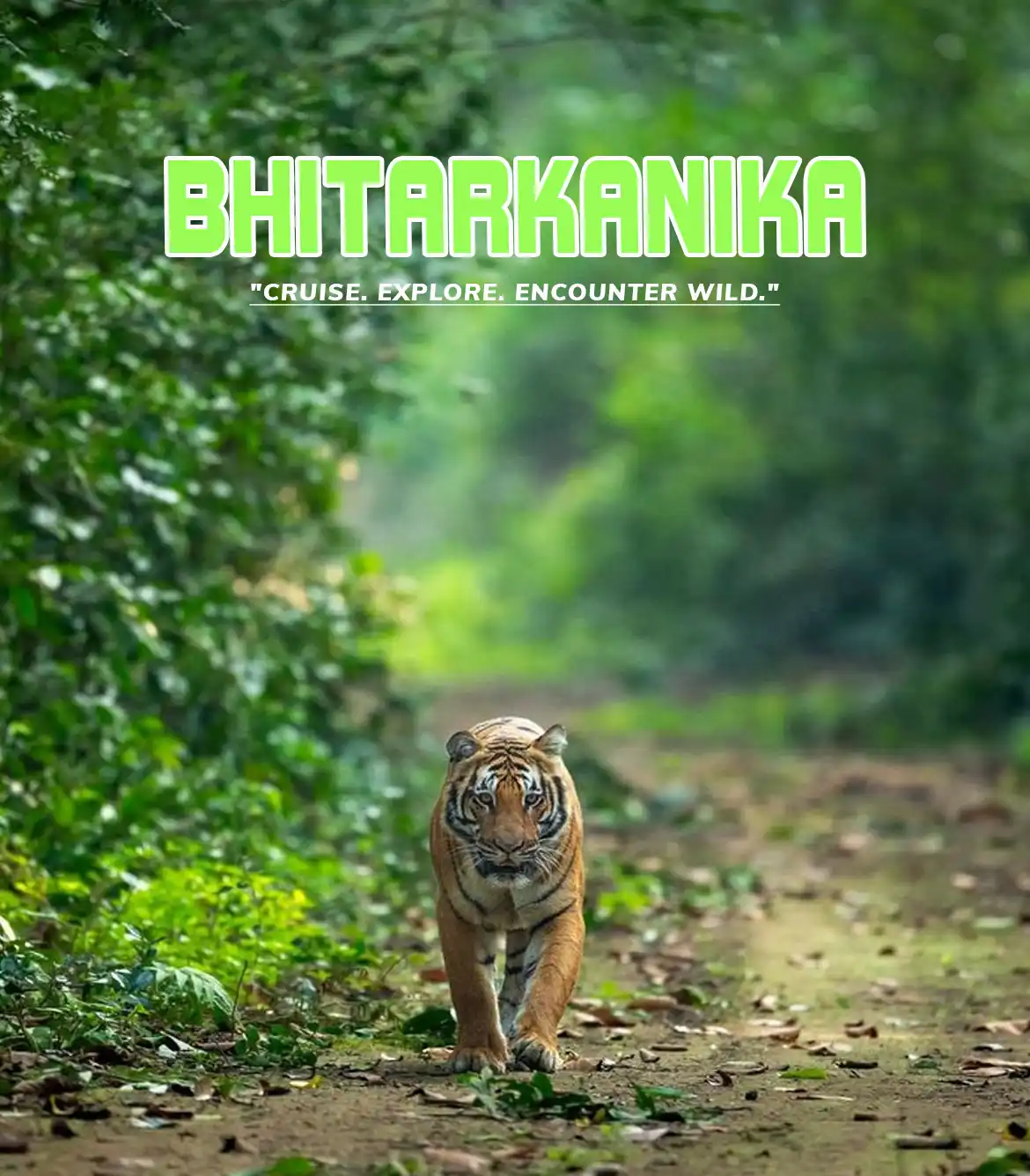 Bhitarkanika Wildlife Tour Packages