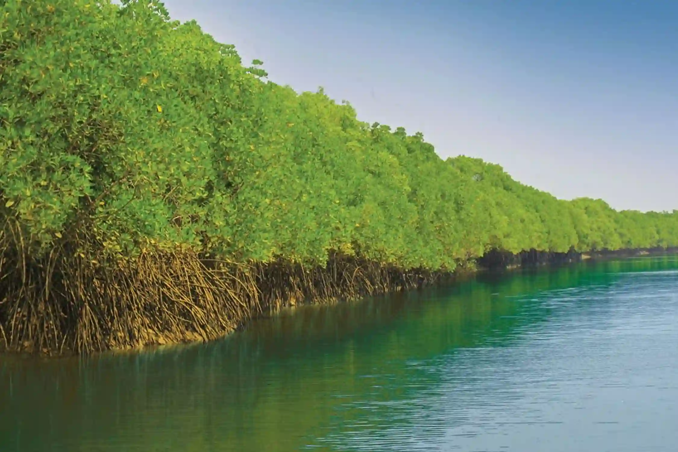 Bhitarkanika Wildlife Tour Packages