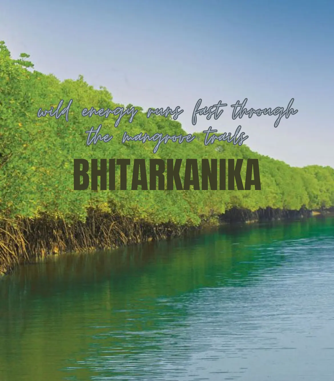 Golden Triangle with Bhitarkanika Tour Packages