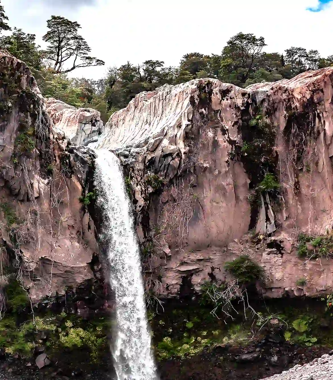 Bilaspur to Kapildhara Waterfalls One Day Trip